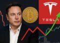 Elon Musk frente a gráfico de Bitcoin con logo de Tesla y flecha verde de recuperación financiera.