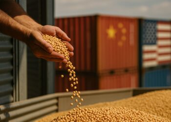 Mano sostiene y vierte granos de soja frente a contenedores con banderas de China y Estados Unidos.