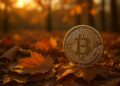 Bitcoin grande entre hojas secas de otoño tras advertencia de Morgan Stanley sobre el mercado.