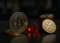 Monedas físicas de Bitcoin y XRP sobre superficie oscura junto a dos señales rojas de alerta.